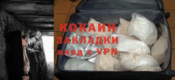 сатива Заводоуковск