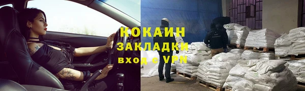 сатива Заводоуковск