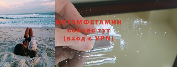 сатива Заводоуковск