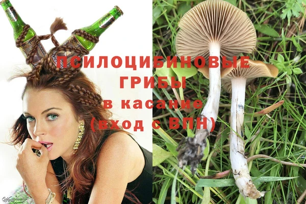 spice Заволжье