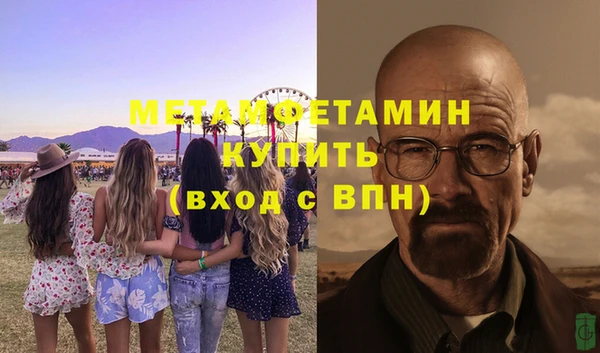 сатива Заводоуковск