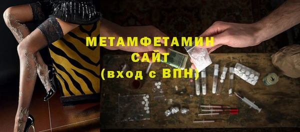 сатива Заводоуковск