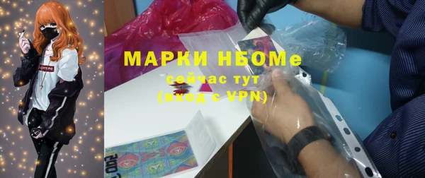 сатива Заводоуковск