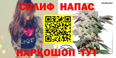 тгк Заводоуковск