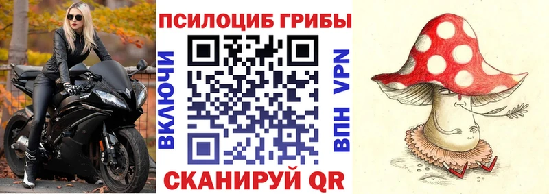 Галлюциногенные грибы GOLDEN TEACHER  Сланцы 